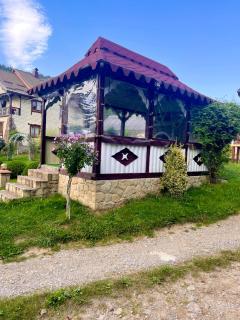 Золото Карпат - 7