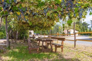 Agriturismo Antica Fonte - 3