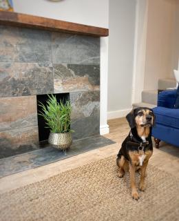 2 Woodbine Cottage - 2