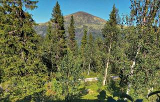 3 Bedroom Beautiful Home In Tynset - 5