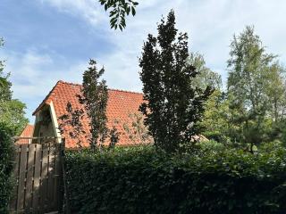 Recreational cottage with lots of privacy, large forest garden! - 3