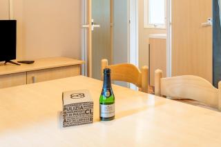 Lydia's Mobilhome am Europa-Park - 1