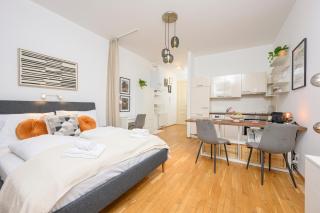 Quiet & Comfortable Studio Apartment in Vienna - 0