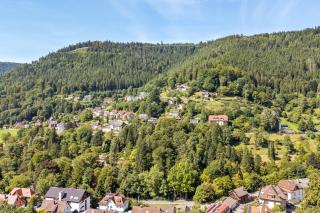 Black Forest Apartment - 8