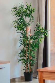 Boho Mood - 2 Bedrooms with Terrace & Pool - 4