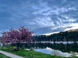 La Maison Rose at Lyvet Port is a beautiful Pet Friendly Riverside Gite close to Dinan Sleeps 6 - 4
