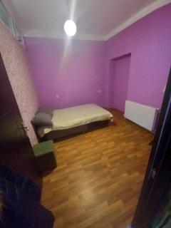 Cozy flat in Borjomi - 3