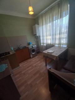 Cozy flat in Borjomi - 2