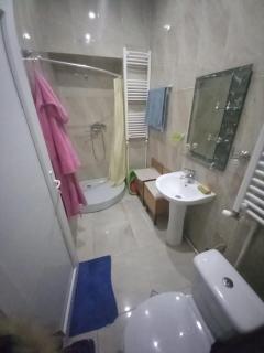 Cozy flat in Borjomi - 1