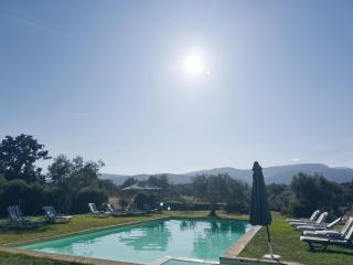 Raízes da Vinha - Quartos & Chalé na Serra da Estrela - 9