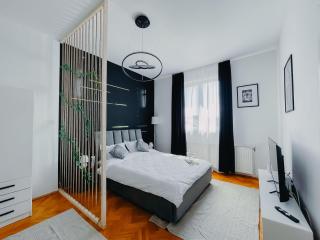 Relax & Work in Cluj Cozy Flat w Netflix & Wi-Fi - 7