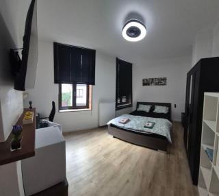 cozy room in the heart of Bruges - 9