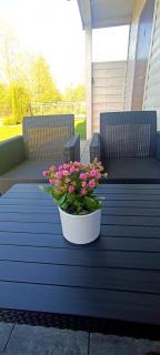 Lazur Resort - 5