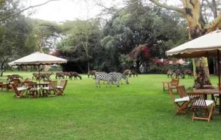 The OAK TREE PALACE - 0