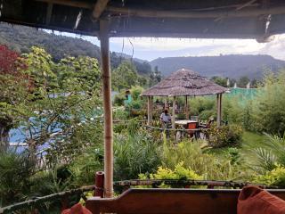 The sumeru jungle resort - 2