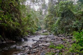 Samora River Lodge - 9