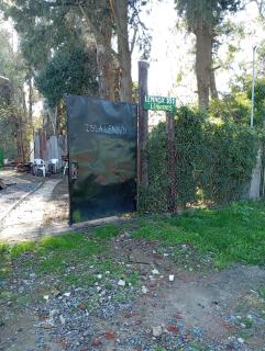 Los limones - 3