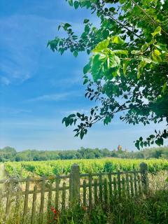 La maisonnette de la gare - 3