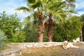 La Farigoule - Sainte-Victoire - 3