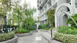 22 Macalisterz Leisure Suites George Town - 5