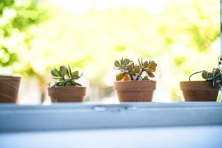 Joli 3P - Piscine & Parking - 5