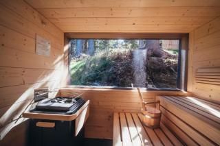 Hollmann am Berg Ski-in Ski-out - 4