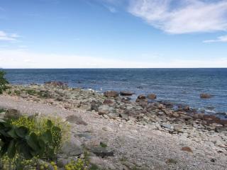 Apartment Alfred - 25m from the sea by Interhome - 7