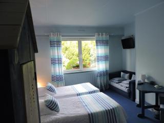 Hotel Restaurant Aux Sapins - Thann - 9