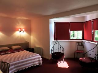 Hotel Restaurant Aux Sapins - Thann - 8