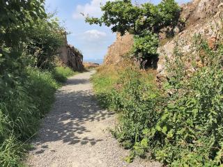 Apartment Seba - 500m from the sea by Interhome - 3