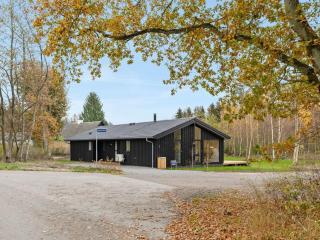 Holiday Home Ellin - 800m from the sea by Interhome - Hasle - 4