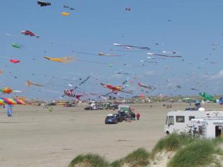 Apartment Ama - 100m from the sea by Interhome - 8