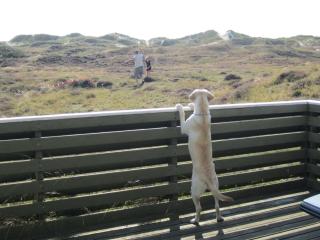 Holiday Home Lilja - 1-5km from the sea by Interhome - 6