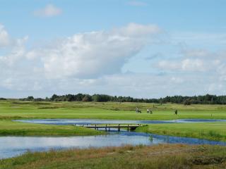 Holiday Home Thordo - 2-4km from the sea by Interhome - 1