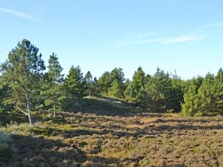 Holiday Home Mariette - 3-1km from the sea by Interhome - 7