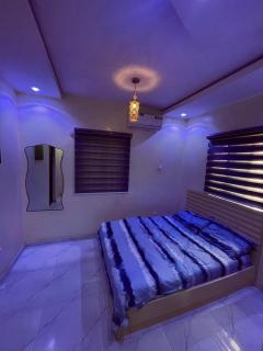 Spacious mini flat near Unilag - 2