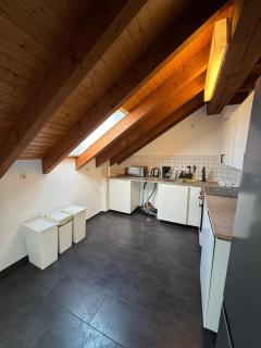 HEU1- Spacious City Apartment with Terrace in Heusenstamm - 2