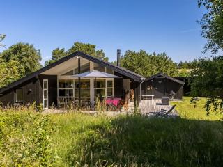 Holiday Home Laerke - 1-8km from the sea by Interhome - 1