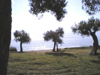 Sunny Villa - 4