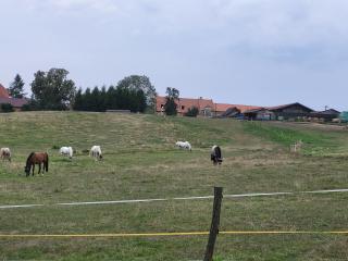 Kempování s výhledem na hrady - 4