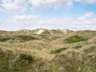Holiday Home Thrond - 200m from the sea by Interhome - 4