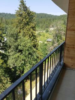 Apartament in Bakuriani - 1