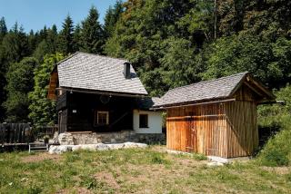 Waldhütte Stifthube - 7