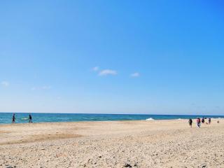 Holiday Home Riborg - from the sea by Interhome - 8