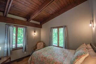 Private and Modern Blue Ridge Mountain Chalet- Sleeps 6 Dogs Welcome - 2