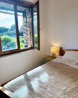 Mas au calme près de Pézenas - 7