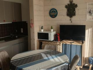 Studio chaleureux, balcon sud, 4 pers., proche centre et pistes - Les Carroz - FR-1-572-218 - 2