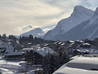 Studio pour 6 pers avec sdd rénovée et parking, sur les pistes - FR-1-572-80 - 4