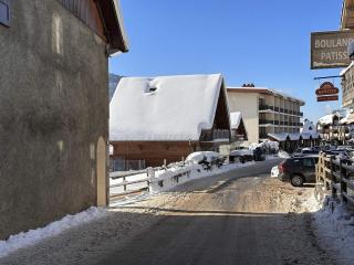 Studio 4 pers, centre village, 450m télécabine, balcon, casier à skis, animaux acceptés - FR-1-572-211 - 1