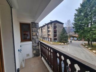 Spacieux 2 pièces + cabine, idéal famille, 5 pers, centre village, proche commerces et pistes - FR-1-572-156 - 1